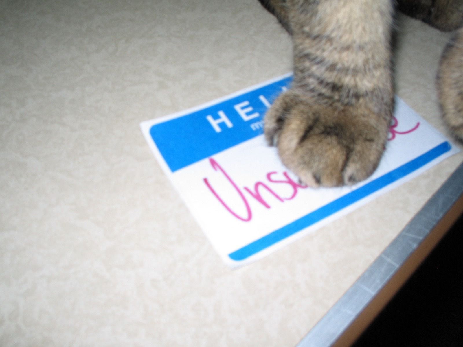 Name tag sticker with the handwritten name “Unsubscribe” — and a gray tabby’s paw on top of the sticker.